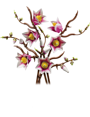 LEGO BOTANICALS 11510 Ramas de Magnolia