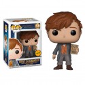 Fantastic Beasts 2 - Newt Scamander (14) - CHASE