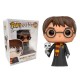 FUNKO POP HARRY POTTER - HARRY POTTER WITH HEDWIG EXC (31)