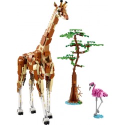 LEGO CREATOR 31150 SAFARI DE ANIMALES SALVAJES 2