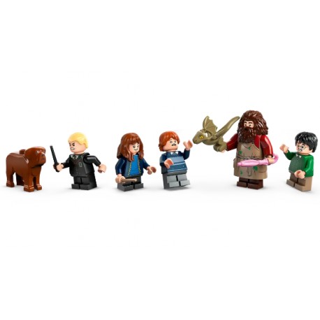 LEGO HARRY POTTER 76428 Cabaña de Hagrid: Una Visita Inesperada