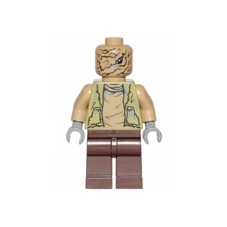 LEGO Star Wars Chronicles of the Force