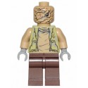 LEGO Star Wars Chronicles of the Force