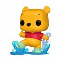 FUNKO POP DISNEY WINNIE - Winnie in the Rain (1159) EXC
