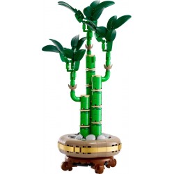 LEGO BOTANICALS 10344 Bambú de la Suerte 2